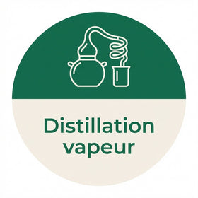 Distillation vapeur