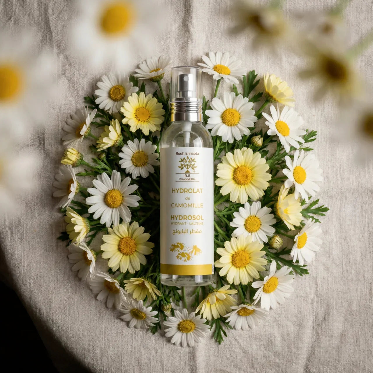 Flacon spray d'hydrolat de camomille bio Jodhur — apaise yeux fatigués et peaux sensibles Maroc