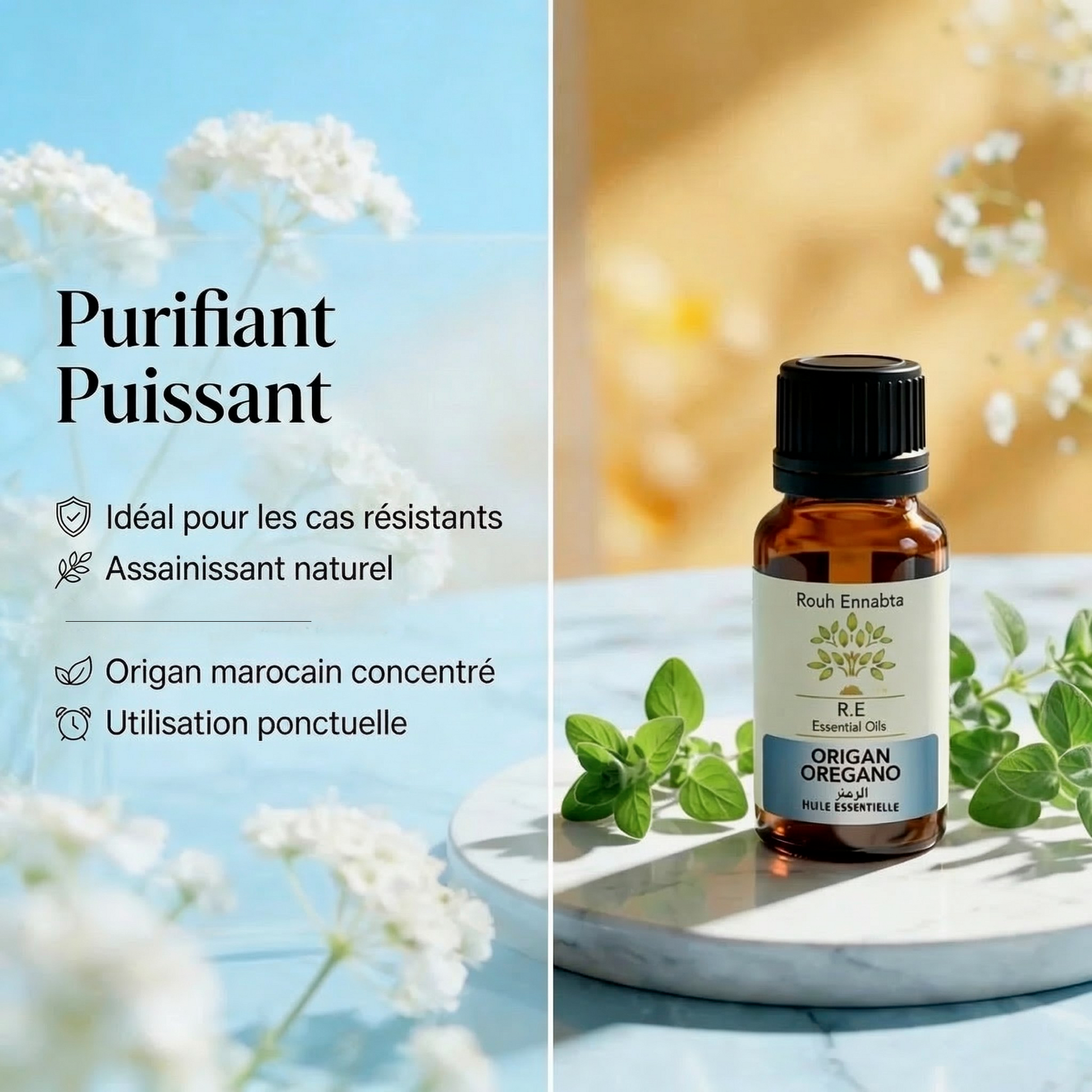 Huile Essentielle Origan Compact BIO | Anti-infectieuse & stimulante essential oil bottle with oregano leaves and flowers background.