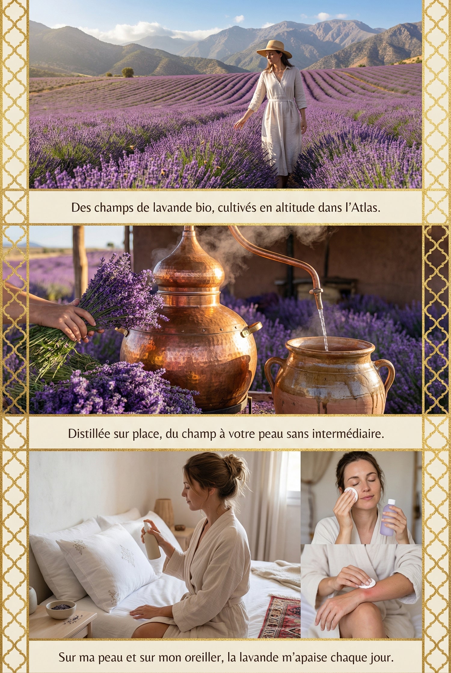 Eau_Florale_de_Lavande_Bio1 - JODHUR