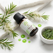 Huile Essentielle Arbre à Thé – Antiseptique Naturel- JODHUR