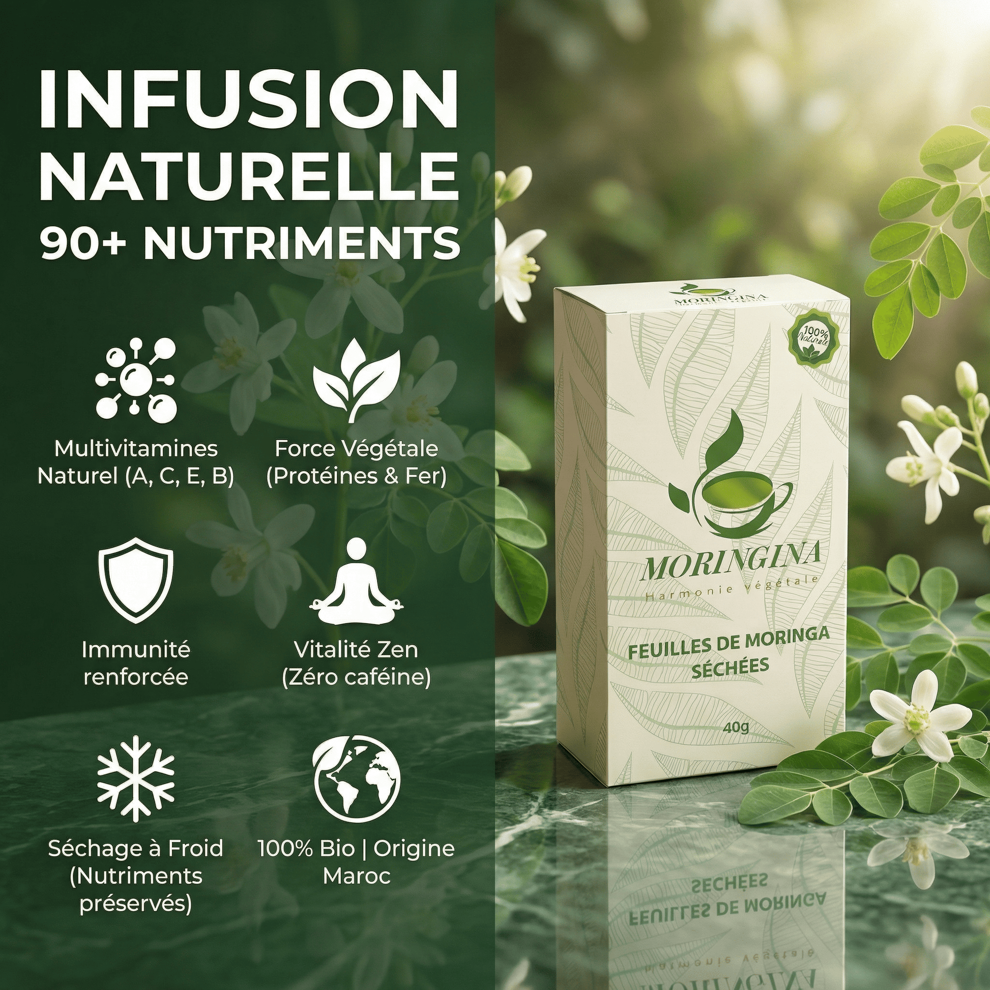Feuilles de Moringa Séchées 40g | Infusion naturelle 90+ nutriments JODHUR, riche en moringa bio pour vitalité et immunité renforcée.