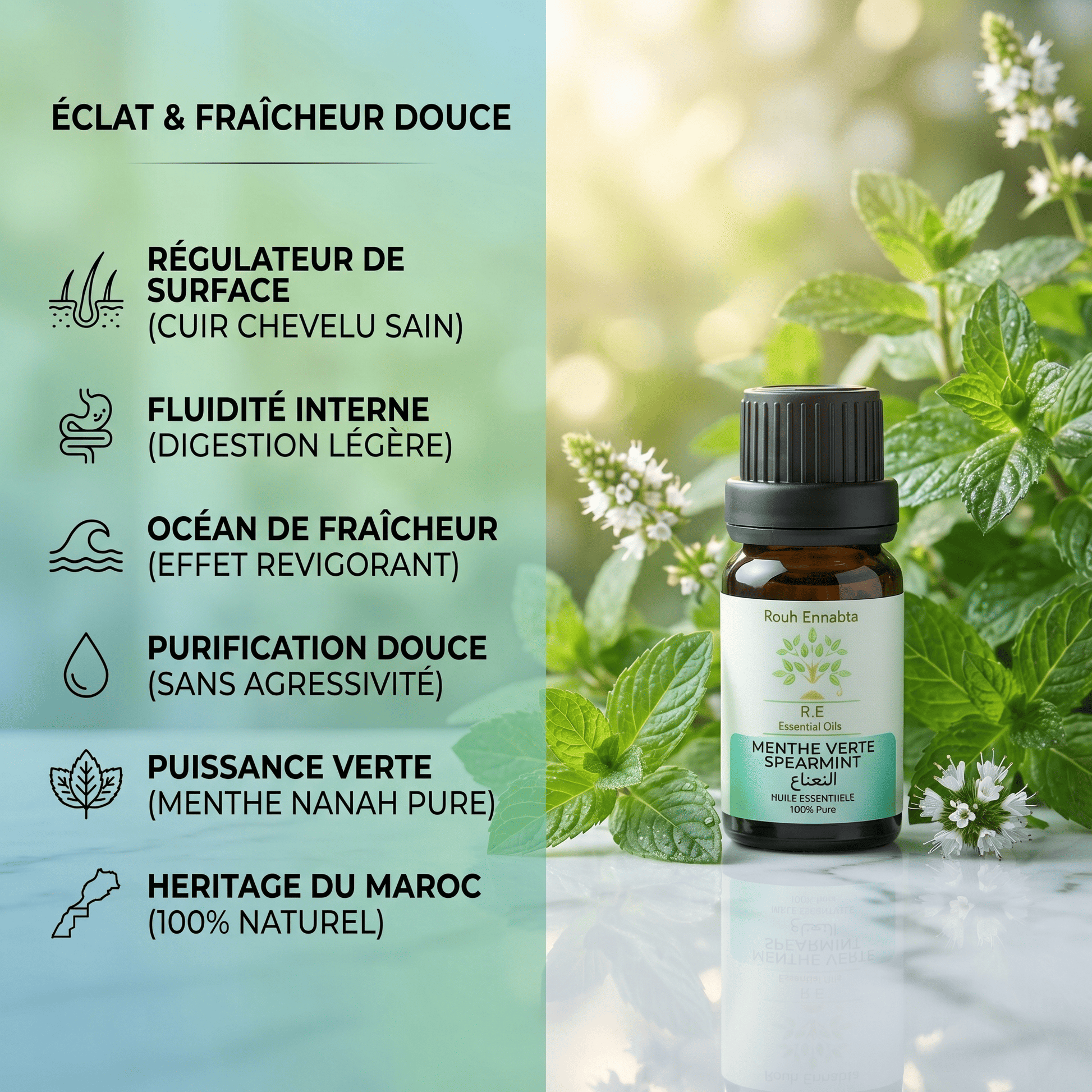 JODHUR Huile Essentielle de Menthe Verte Bio – Éclat & Fraîcheur Douce avec moringa pour purifier et rafraîchir naturellement.