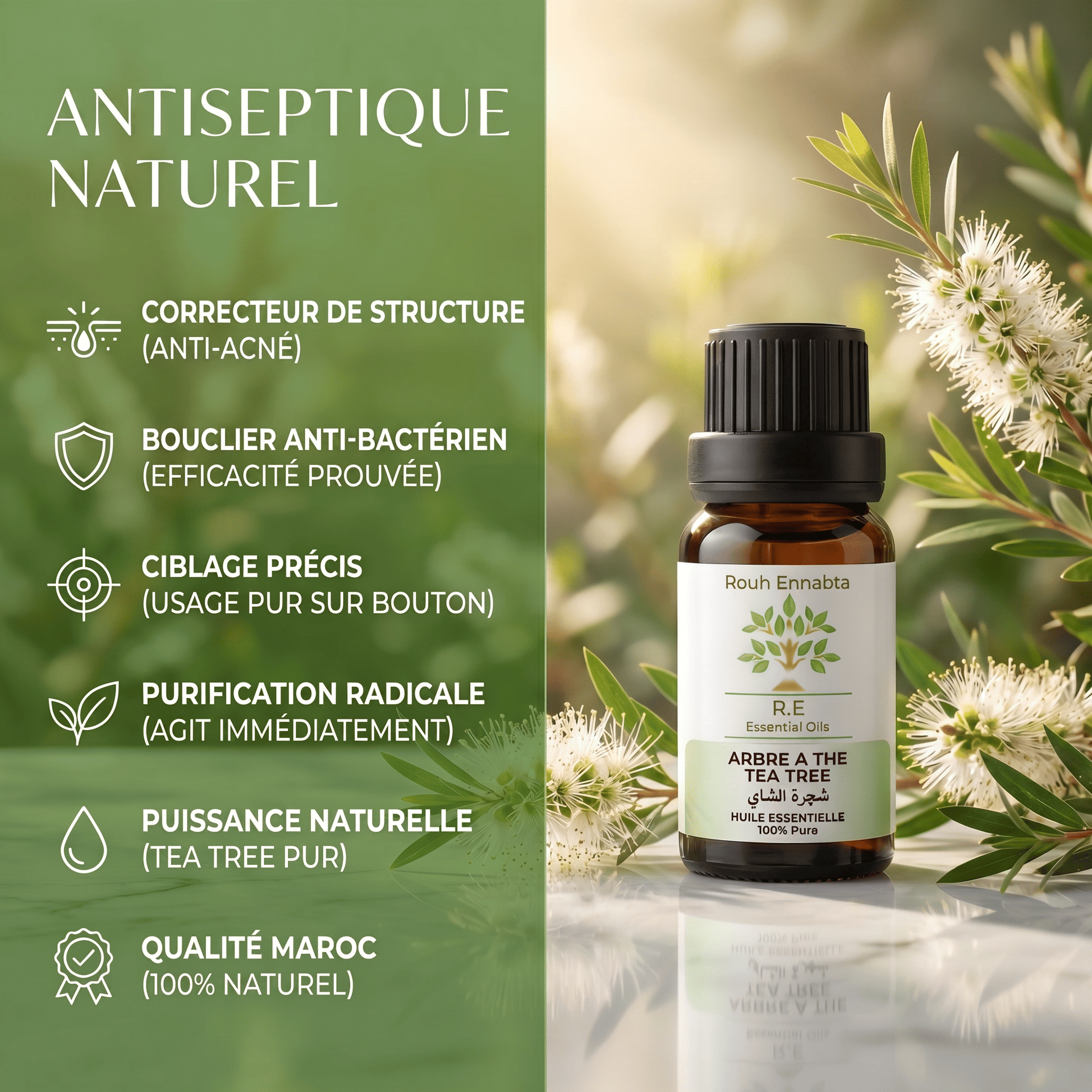 JODHUR Huile Essentielle Arbre à Thé – Antiseptique Naturel avec moringa, purifiante et soin naturel anti-acné et anti-bactérien.